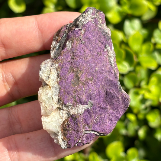 Purpurite Natural Specimen