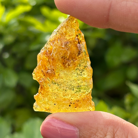 Amber Specimen 4.45g