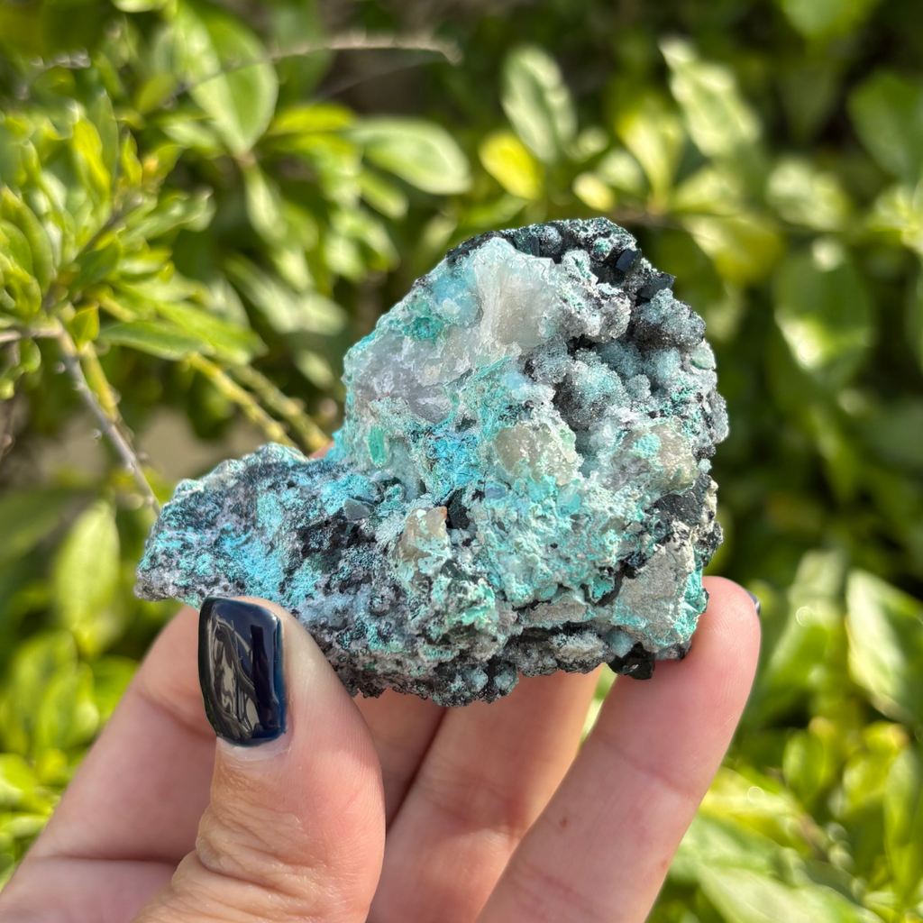 Chrysocolla Drusy with Malachite Specimen
