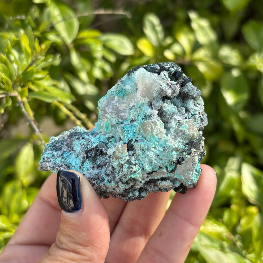 Chrysocolla Drusy with Malachite Specimen