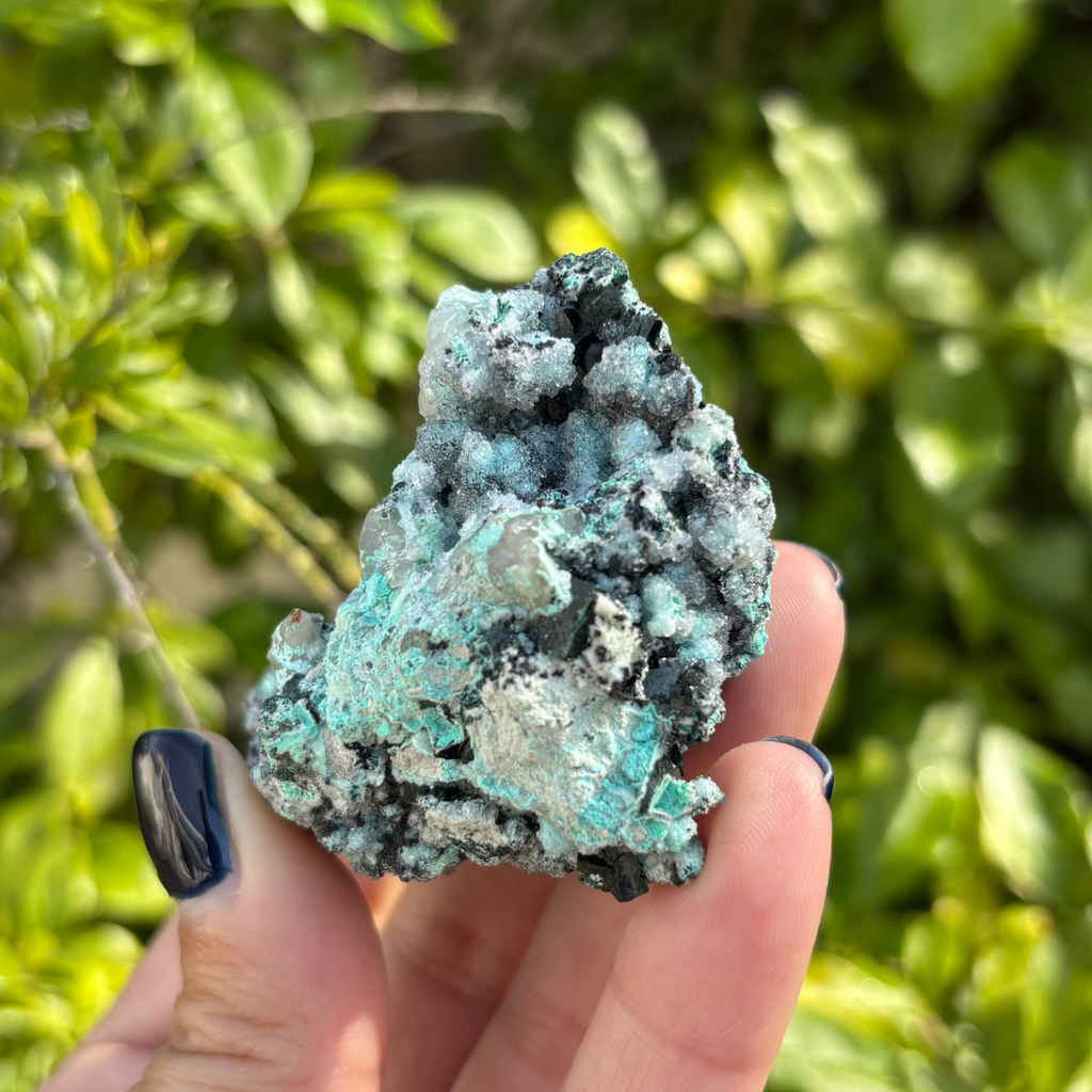 Chrysocolla Drusy with Malachite Specimen