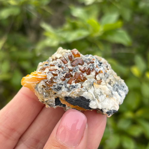Baryte, Cerussite & Galena Specimen (Fluoresces under UV light)