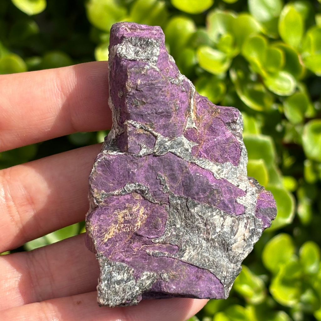 Purpurite Natural