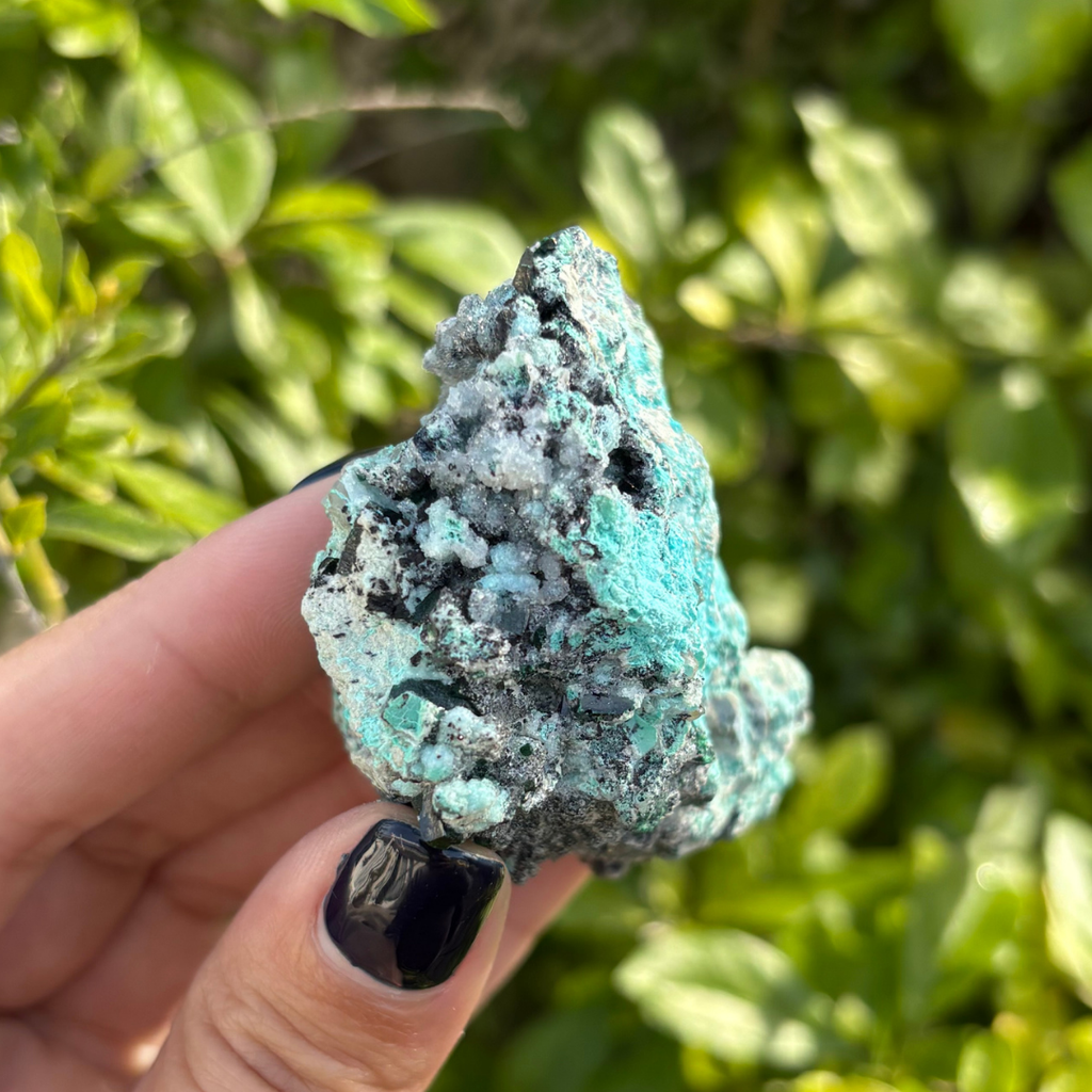 Chrysocolla Drusy with Malachite Specimen