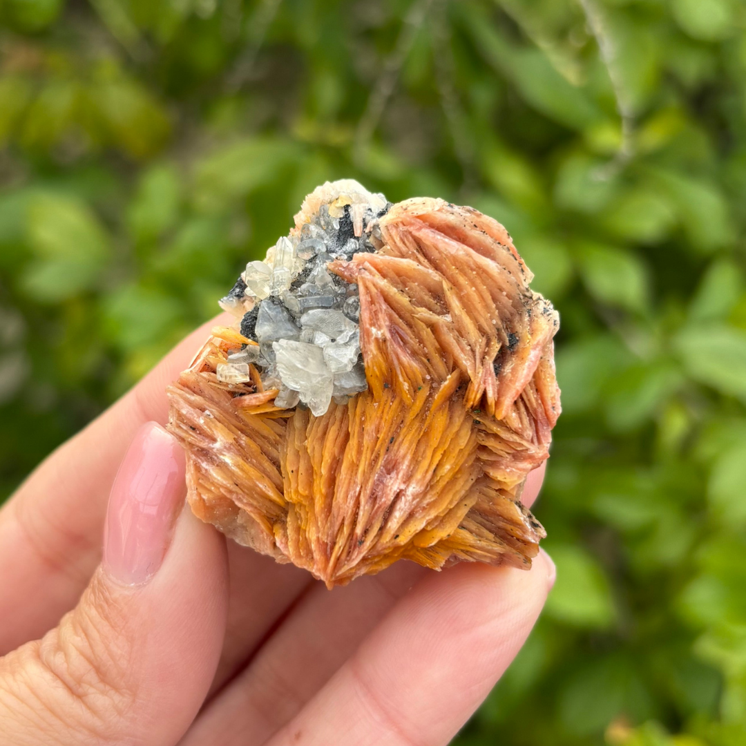 Baryte, Cerussite & Galena Specimen (Fluoresces under UV light)
