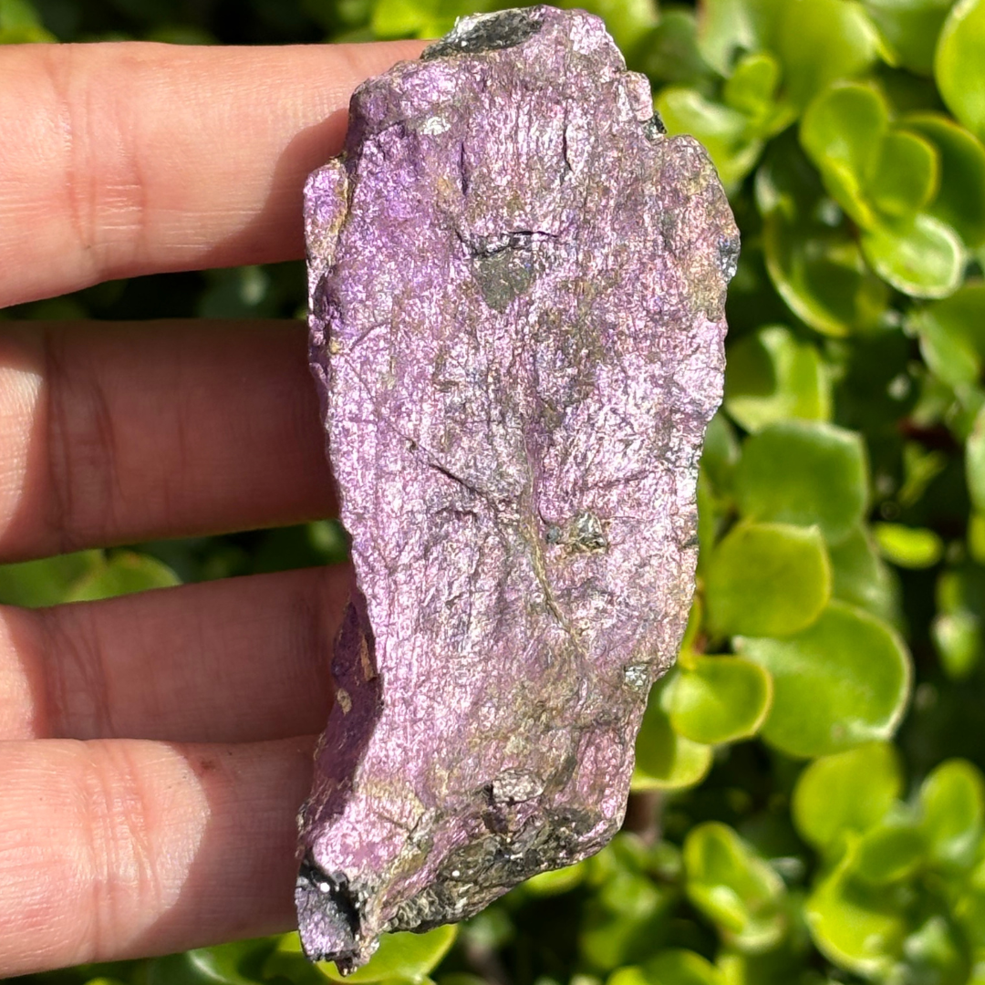 Purpurite Natural