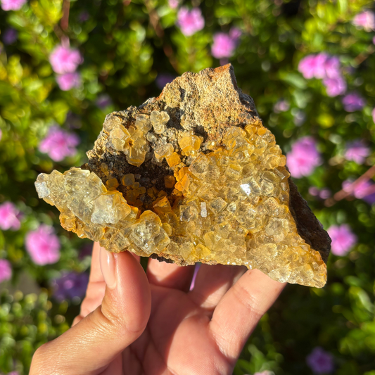 Glassy Clear Fluorite Cluster