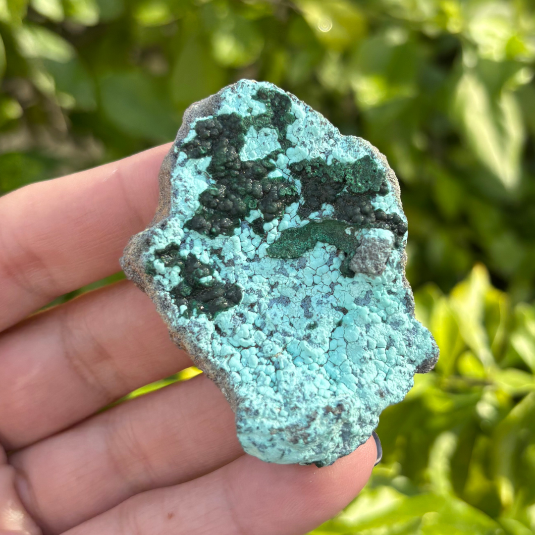 Chrysocolla with Malachite Specimen