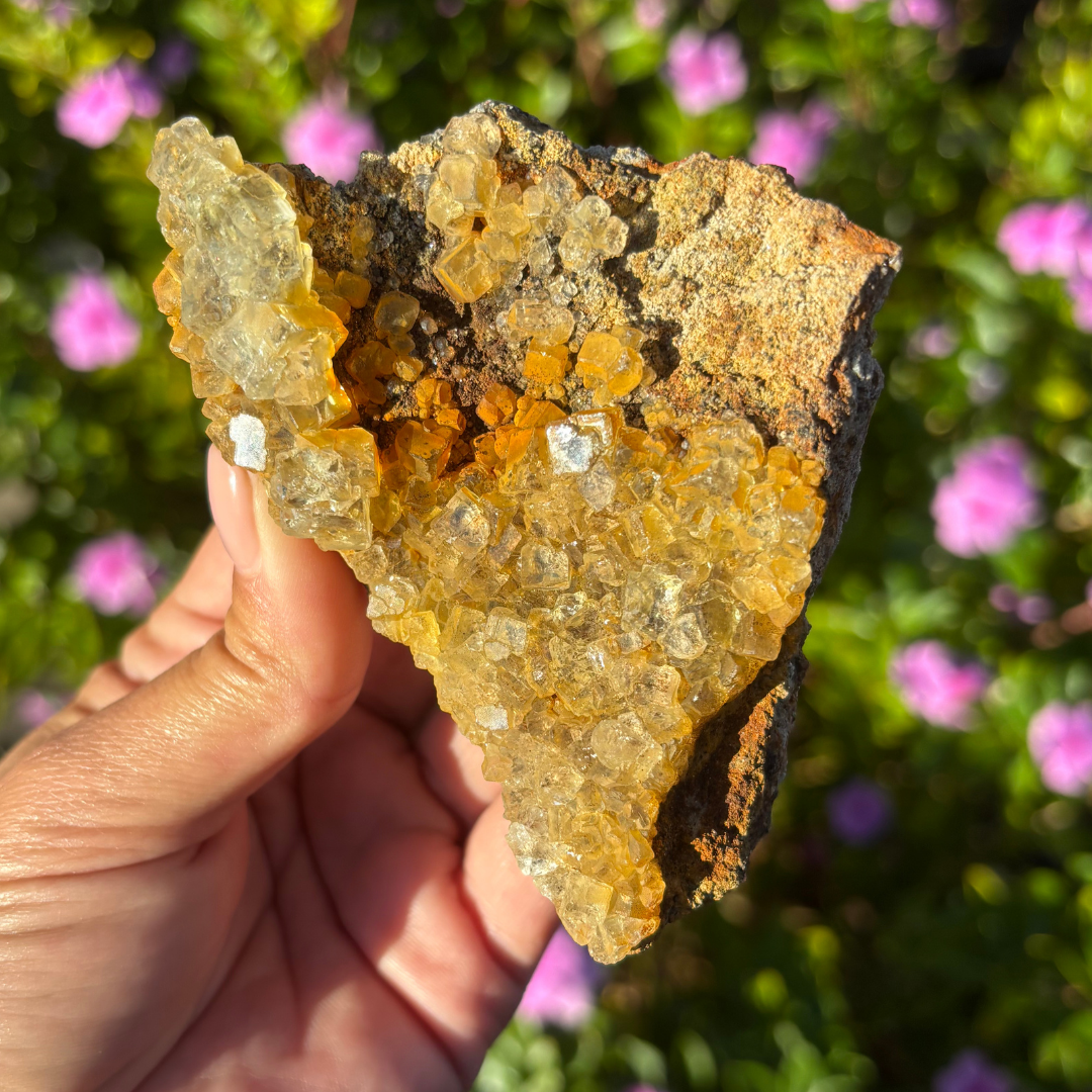 Glassy Clear Fluorite Cluster