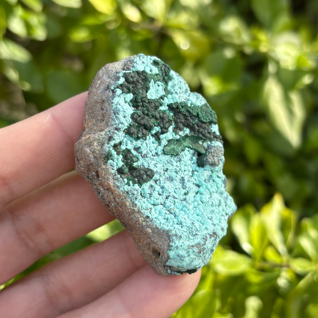 Chrysocolla with Malachite Specimen