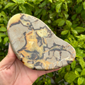 Septarian Slice (Dragon Stone)