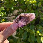 Auralite-23 Polished Slice