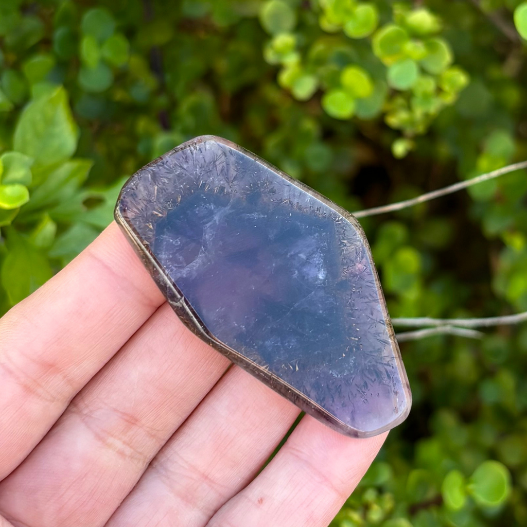 Auralite-23 Polished Slice