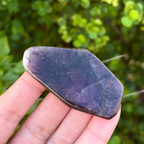 Auralite-23 Polished Slice