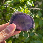 Auralite-23 Polished Slice