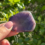 Auralite-23 Polished Slice