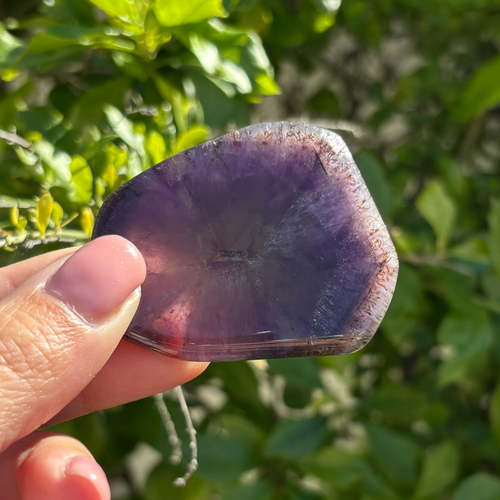 Auralite-23 Polished Slice