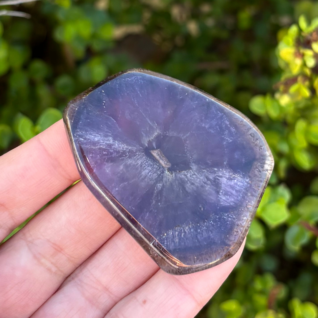Auralite-23 Polished Slice