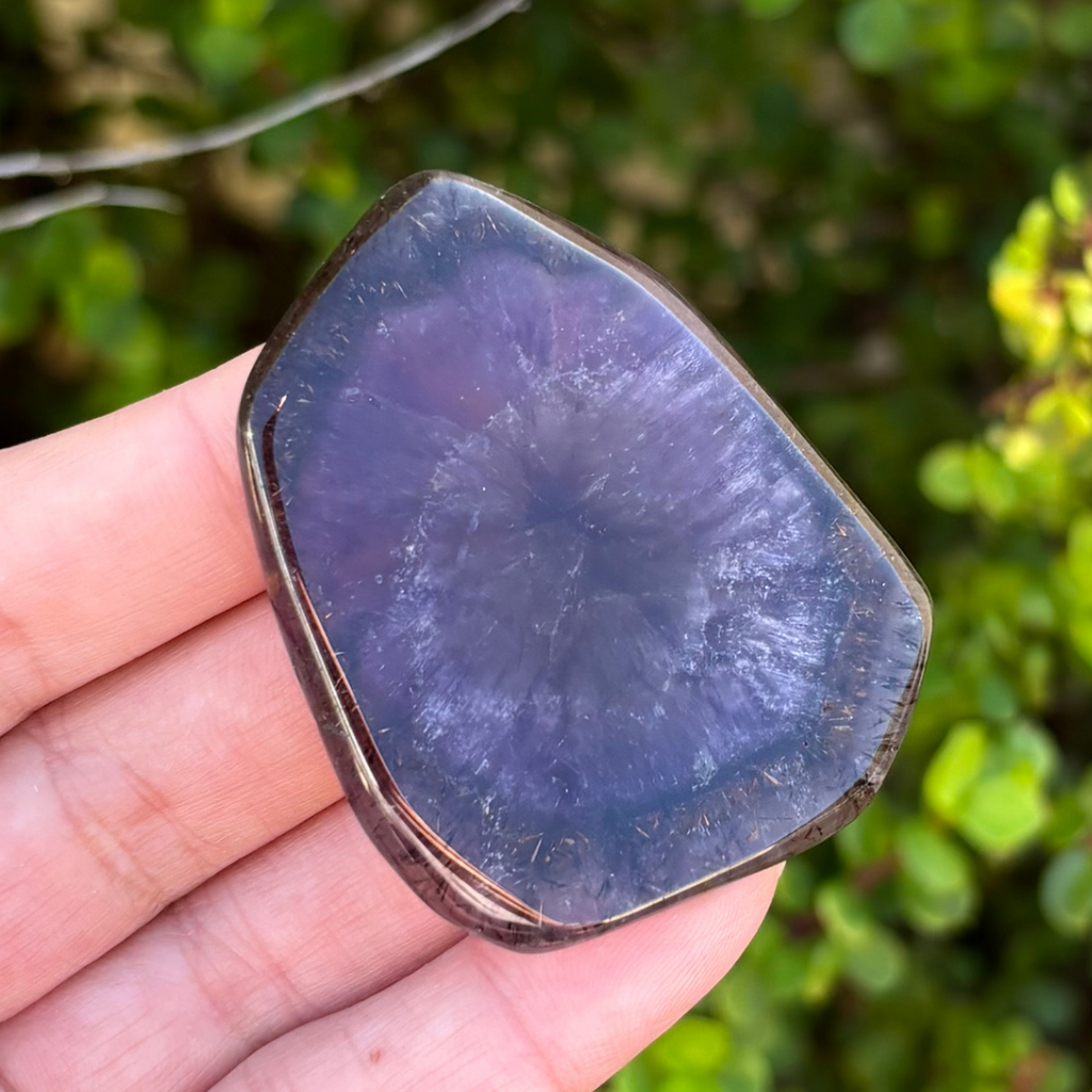 Auralite-23 Polished Slice