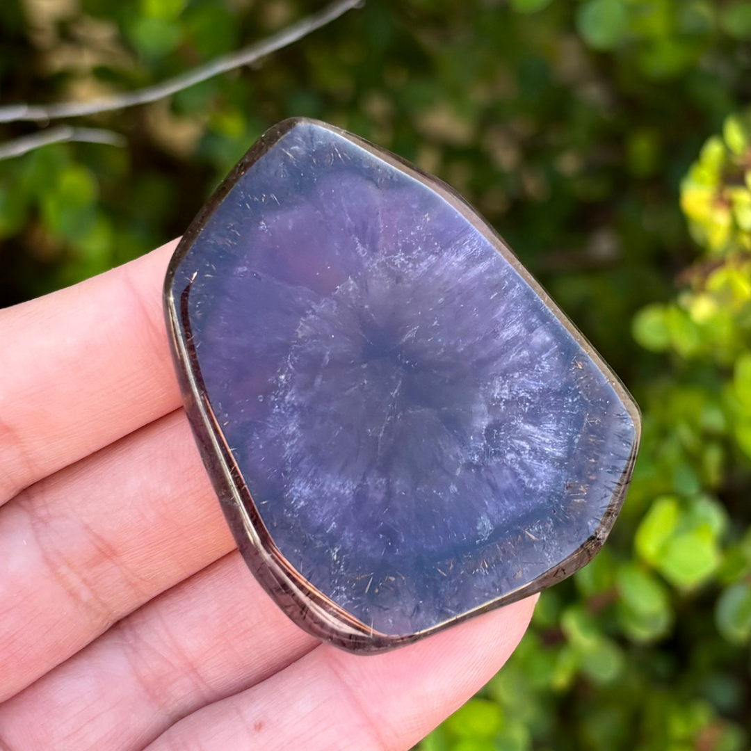 Auralite-23 Polished Slice