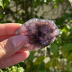 Auralite-23 Polished Slice