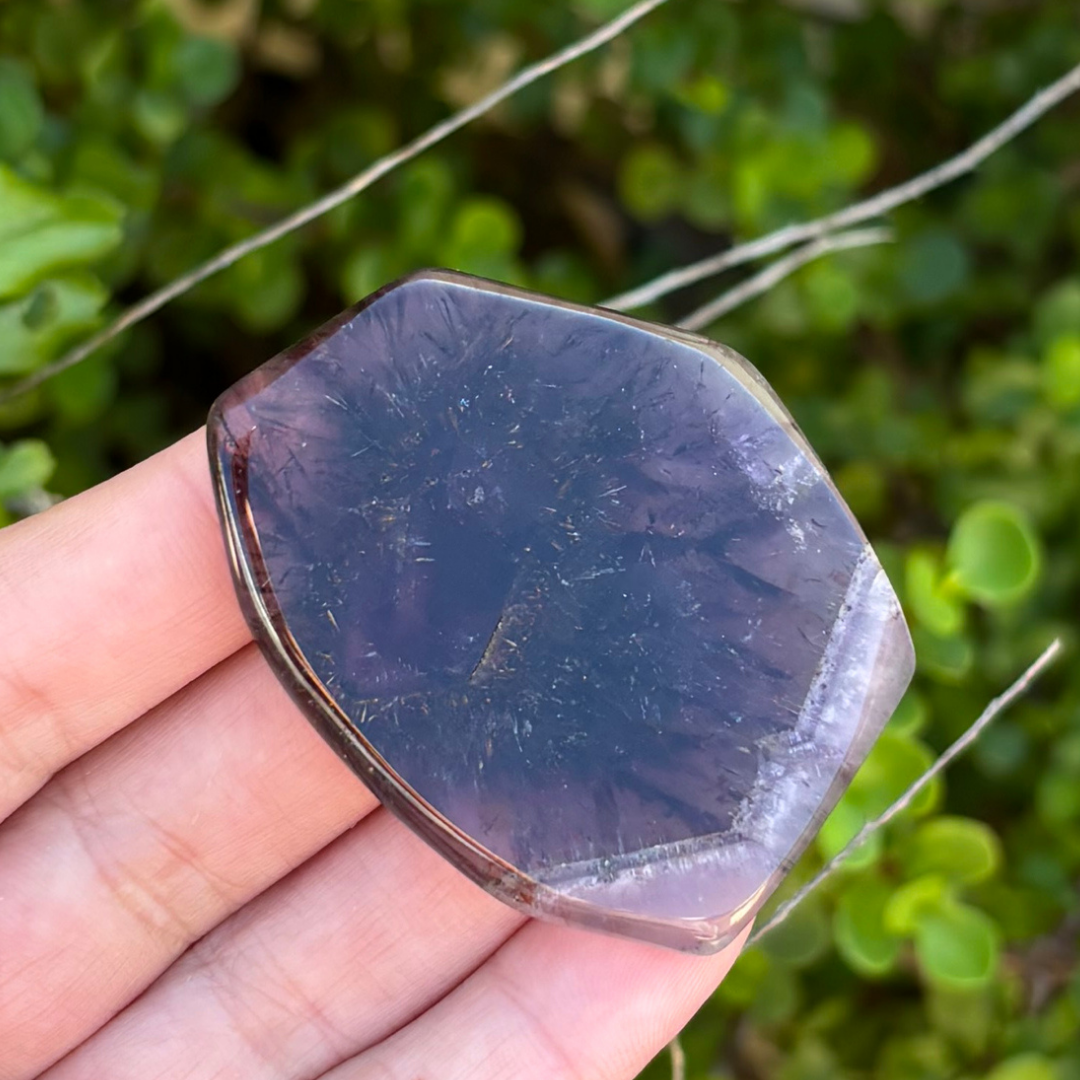 Auralite-23 Polished Slice