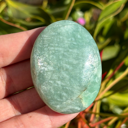 Amazonite Palm Stone
