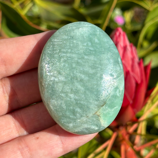 Amazonite Palm Stone