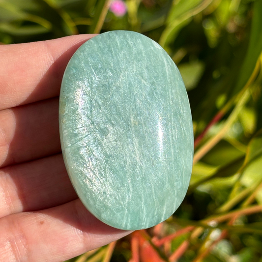 Amazonite Palm Stone