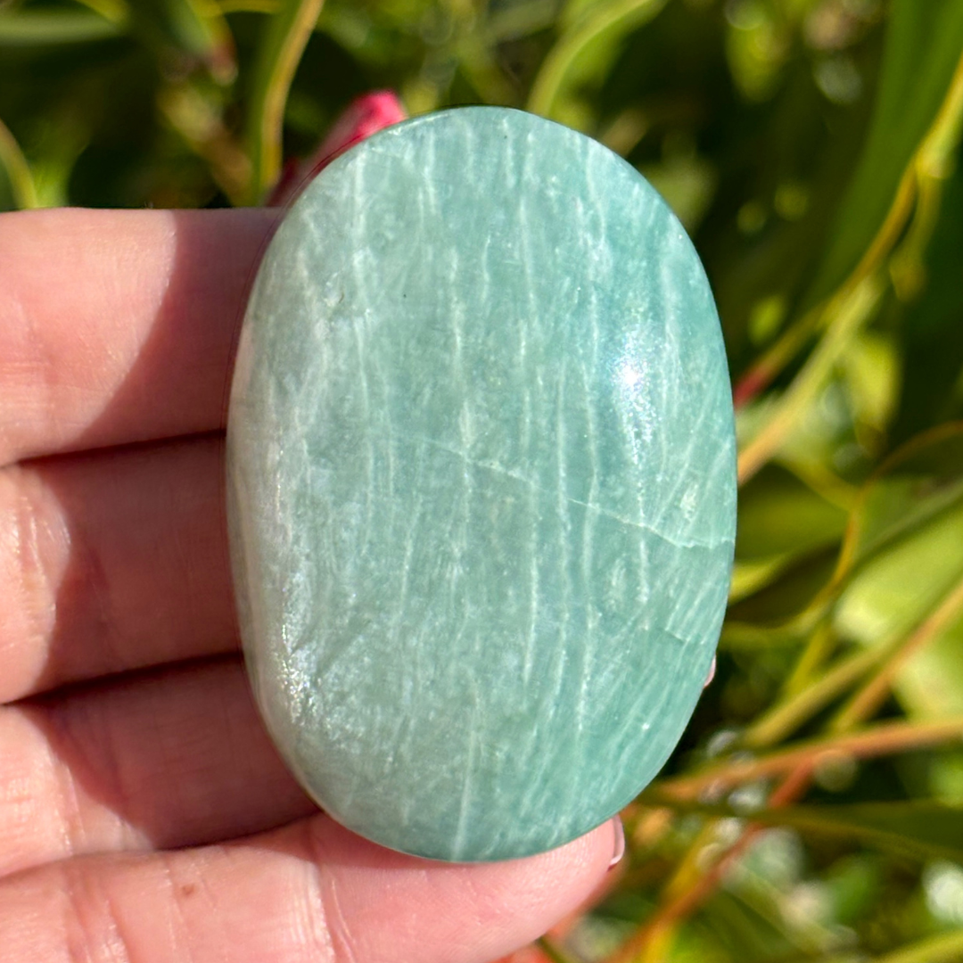 Amazonite Palm Stone