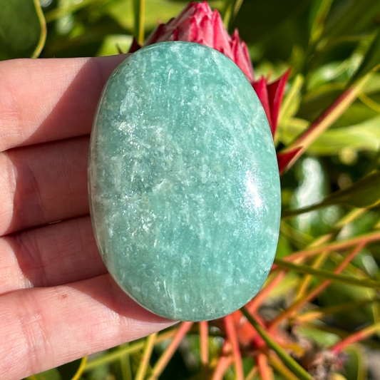 Amazonite Palm Stone