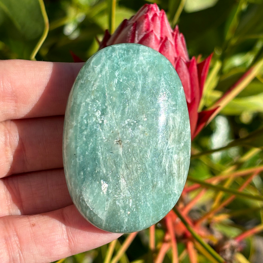 Amazonite Palm Stone