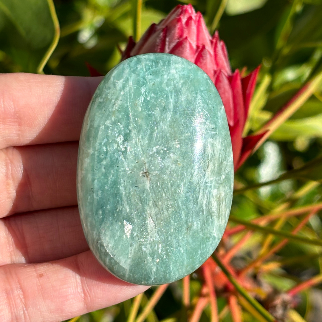 Amazonite Palm Stone