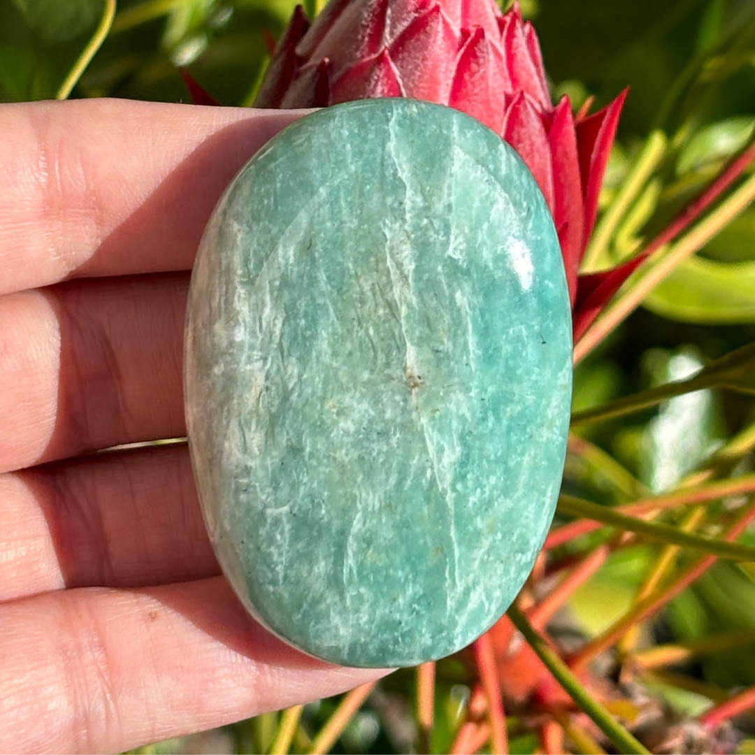 Amazonite Palm Stone