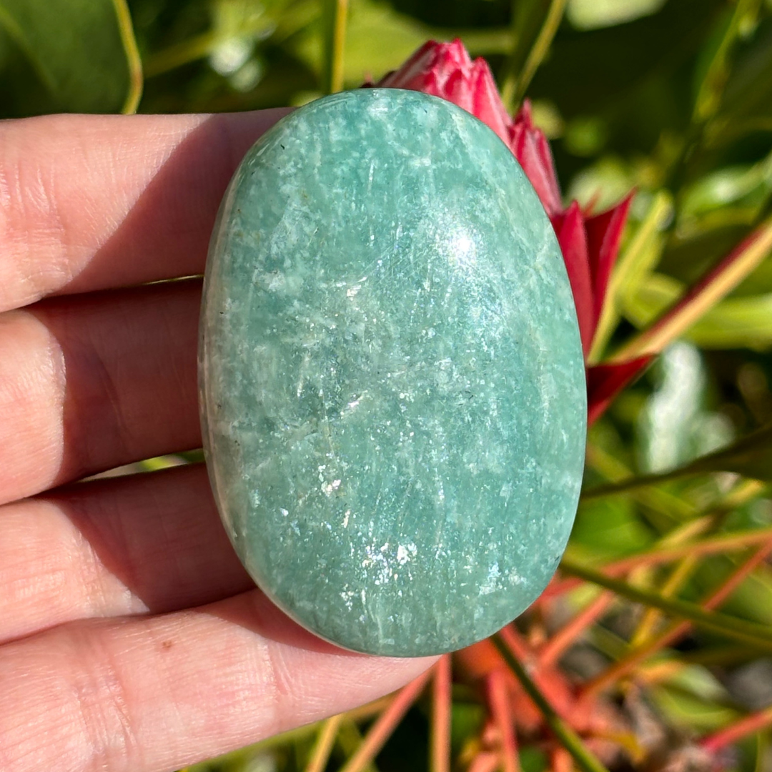 Amazonite Palm Stone