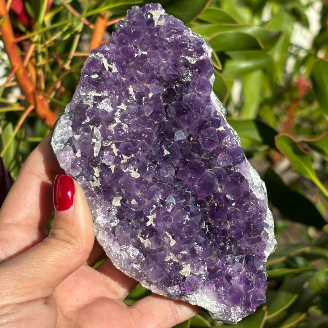 Amethyst Cluster Specimen
