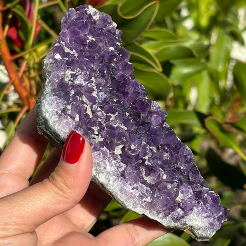 Amethyst Cluster Specimen