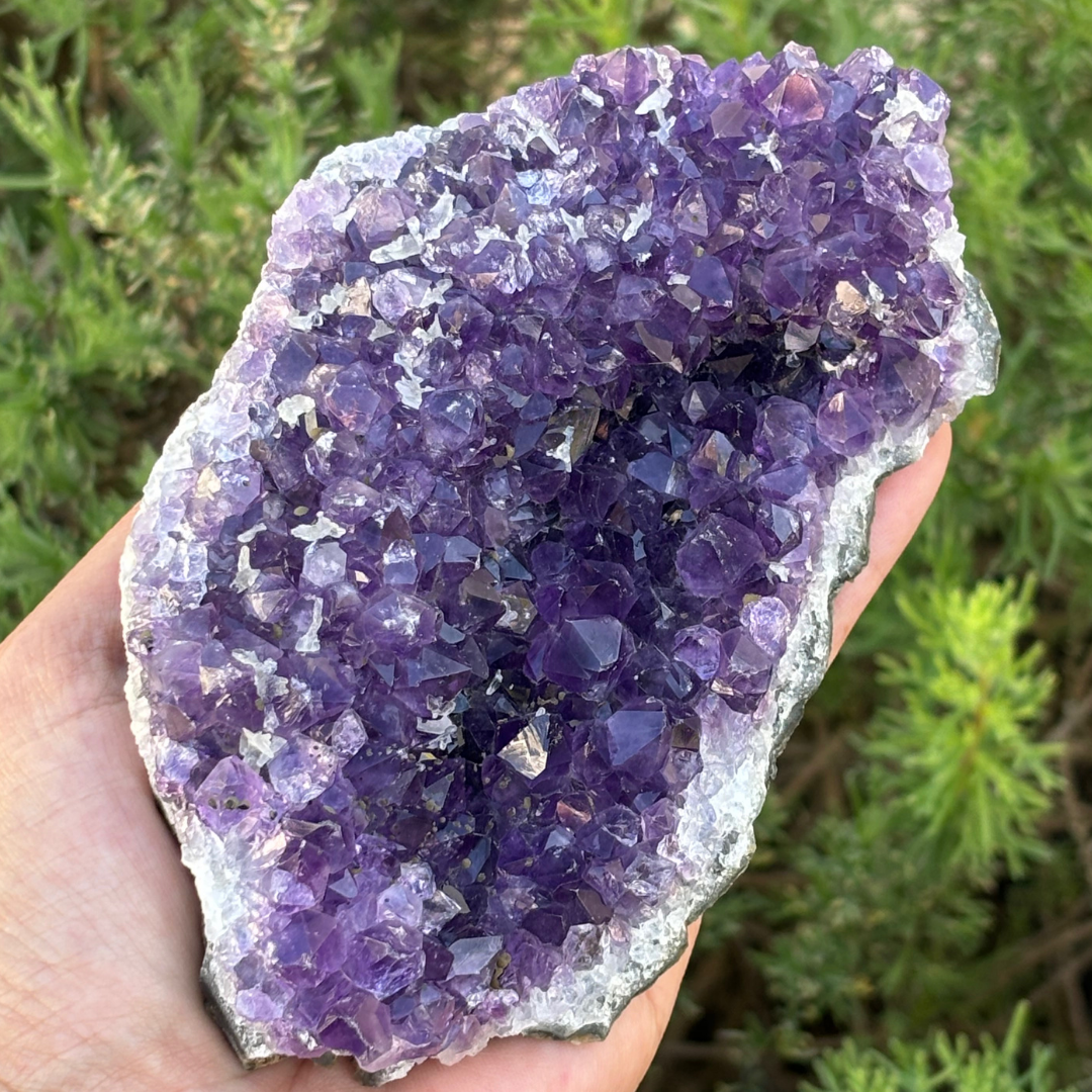 Amethyst Cluster Specimen