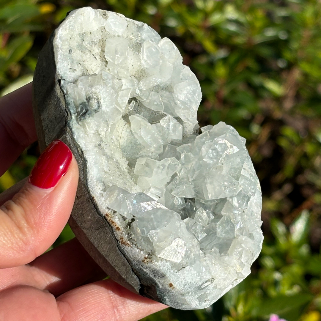 Apophyllite Cluster