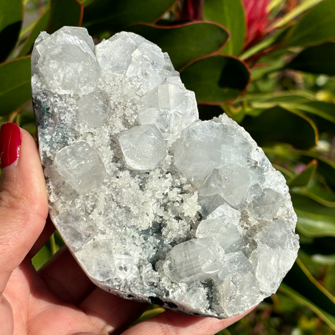 Apophyllite Cluster