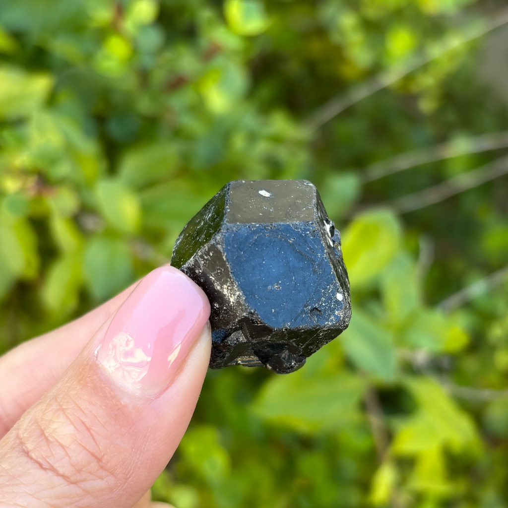 Black Garnet (Melanite) var. Andradite