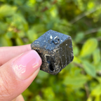 Black Garnet (Melanite) var. Andradite