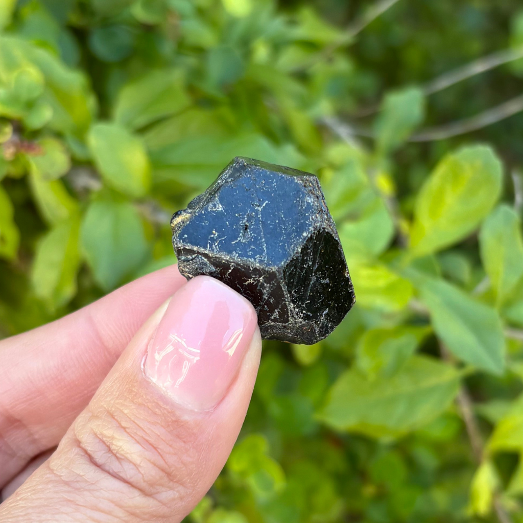 Black Garnet (Melanite) var. Andradite