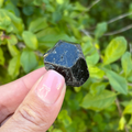 Black Garnet (Melanite) var. Andradite