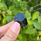 Black Garnet (Melanite) var. Andradite