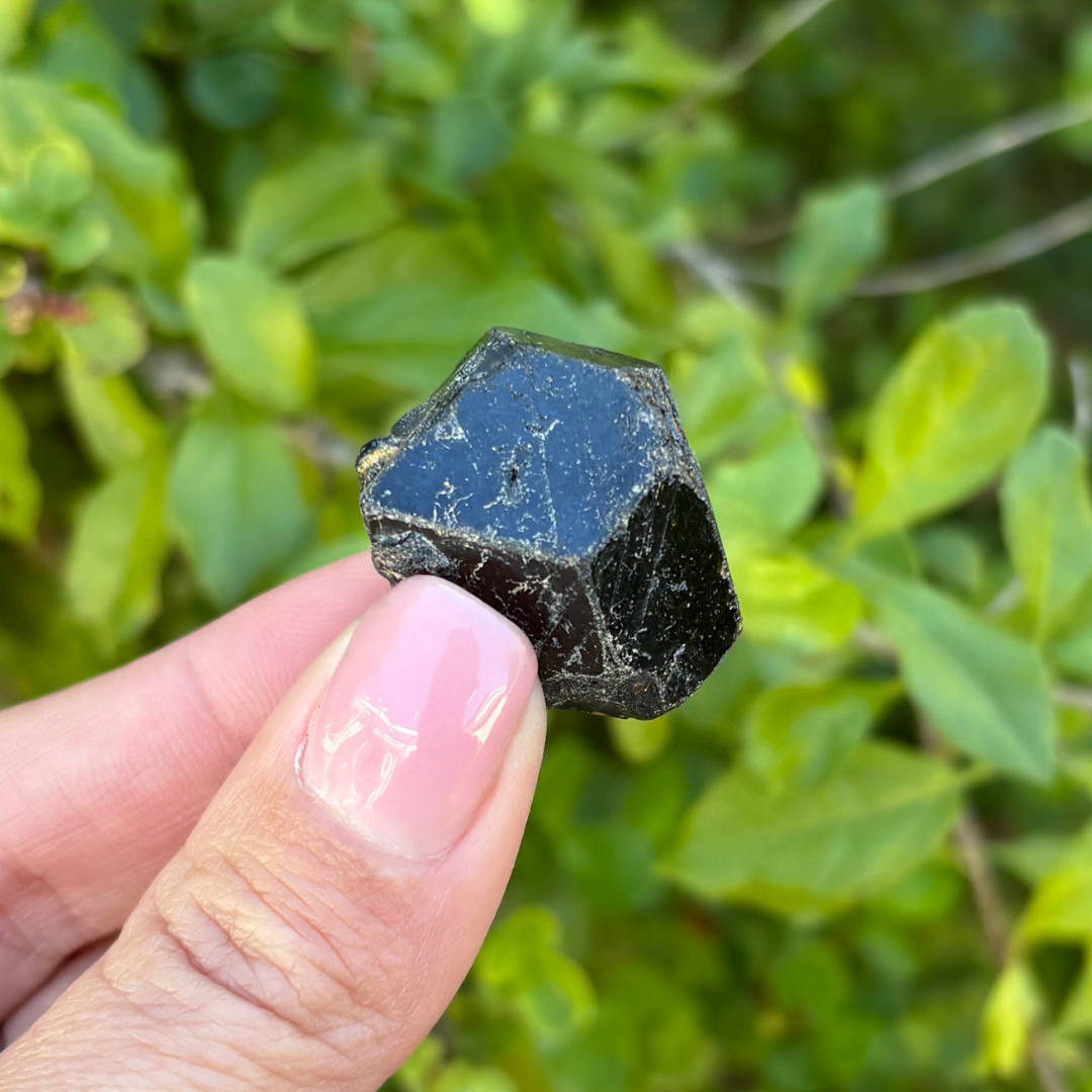 Black Garnet (Melanite) var. Andradite