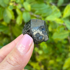 Black Garnet (Melanite) var. Andradite