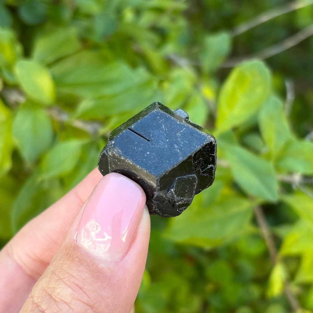 Black Garnet (Melanite) var. Andradite