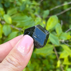 Black Garnet (Melanite) var. Andradite