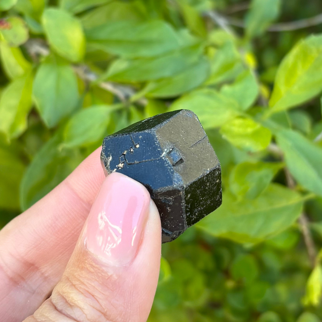 Black Garnet (Melanite) var. Andradite